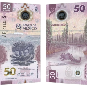 Buy Counterfeit Mexican 50 pesos note 36000 pesos worth