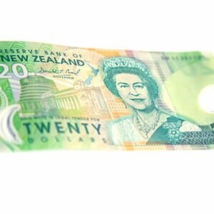 Buy Counterfeit New Zealand 20 Note $5000 worth