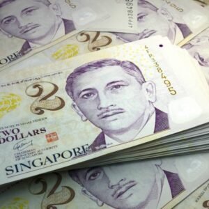 Buy Counterfeit Singapore 2 Note $5600 worth